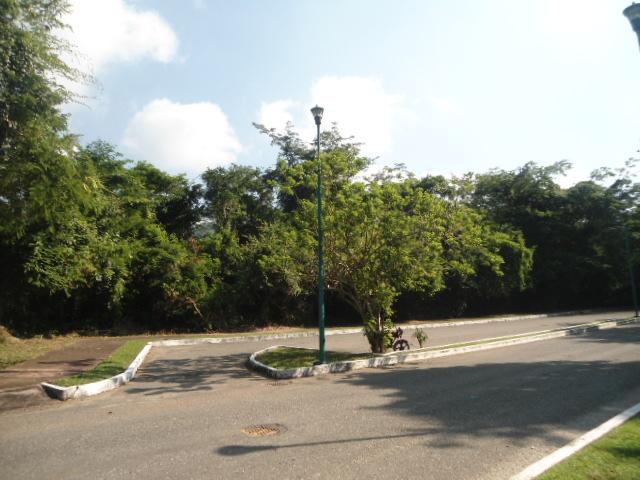 VENTA DE 2 TERRENOS EN VIVEROS IXTAPA